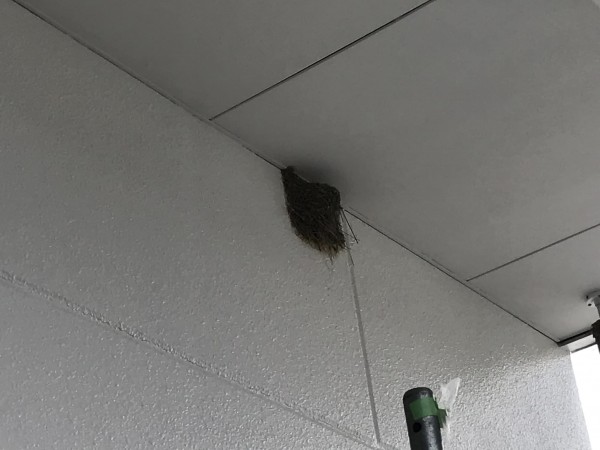 御船町大型店舗外壁・天井塗装完了　ツバメの巣セーフ💛🐥