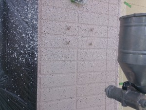 染矢０７２９拭きつけ