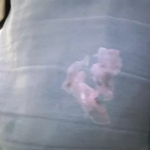 尻にハイチュウのサムネイル