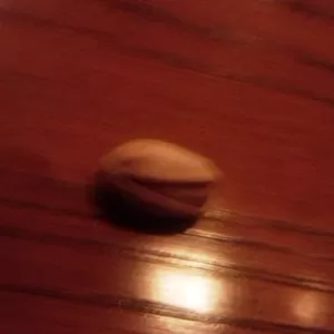 ピスタチオに負けてしもうた・・・のサムネイル