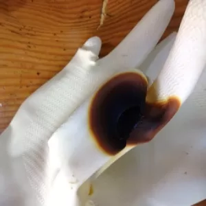電球近くに物置くな～炎上前～のサムネイル