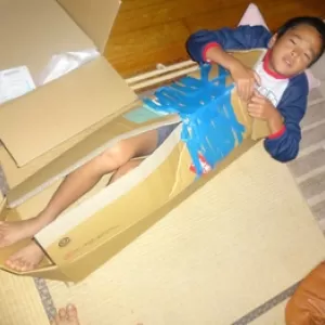 仕事用のダンボールに何してんの？終いには寝てるし・・・のサムネイル