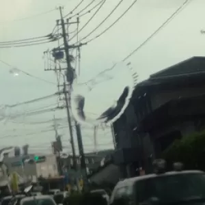 でかい雨粒が降ってきたんだ熊本！のサムネイル