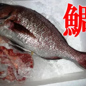 鯛の塩窯焼きメッチャ美味しかったぁ～♪のサムネイル