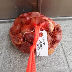 玄関に栗が・。・トトロが家にやってきた・。・。・のサムネイル