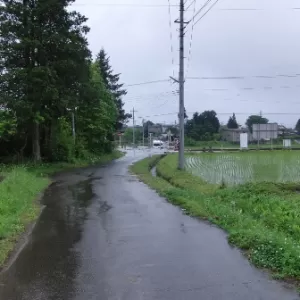 アゲていこうぜ！のサムネイル