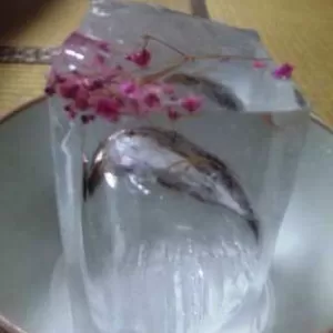氷置き扇風機のサムネイル