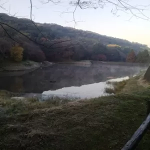 季節を感じますのサムネイル
