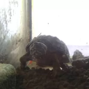 どこやったんかい！のサムネイル