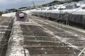 佐賀県　スレート屋根遮熱塗装工事・特殊塗装工事（工場屋根塗装3棟） Before画像