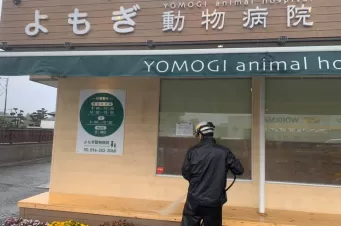 よもぎ動物病院ウッドデッキ塗装2020 Before画像