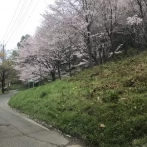 すっかり季節を感じるのサムネイル