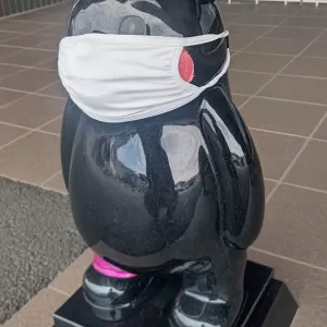 熊本北合志警察署の玄関には可愛い熊さんたちが居ますねぇ～くまモン&ゆっぴーのサムネイル