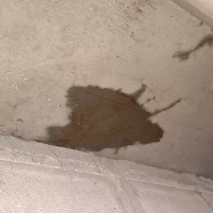 お盆は大雨にて雨漏り調査多数出ました。晴れた日に再調査です！-宮本建装‐（14.15日）のサムネイル