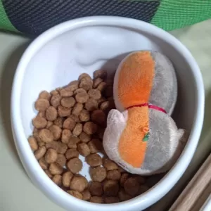 大事なアイテムは食事する器に隠すのねｗにゃんこ先生でした♪（犬の遊びアイテム）のサムネイル