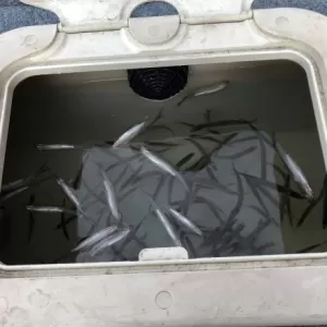 この前久々の釣り行きました♪のサムネイル