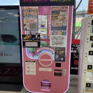 5分ぐらい悩んだもののサムネイル