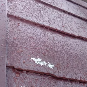 雨は大丈夫だったけど塗面に雪が⛄️いたらﾀﾞﾒﾀﾞﾒ⛸️のサムネイル