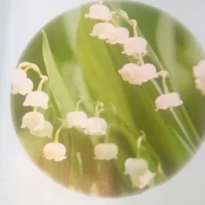 昨年泥棒にあってしまって。、。、謝罪もなく遺憾です！のサムネイル