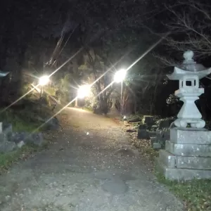 加藤神社にて階段上り桜が綺麗でした🌸のサムネイル