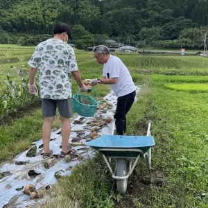 人吉にてジャンボ玉葱いただく！ありがとうございます。のサムネイル