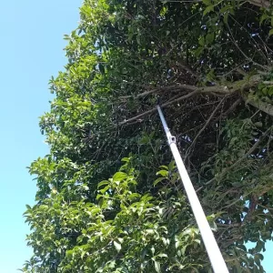 早朝より小枝ちゃんのカット完了💦もうゆっくりするモン🧸のサムネイル