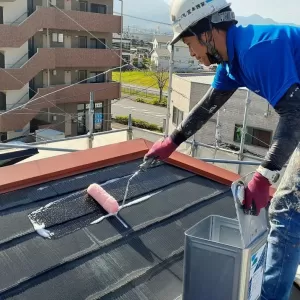 屋根塗装　下塗り（一液水性多機能型カチオンシーラー）　熊本県宇土市松原町　ワンちゃん🐶のサムネイル