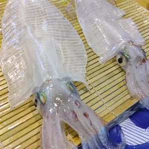 佐賀　海中魚処 萬坊にて呼子イカをパリパリいただく🎵のサムネイル