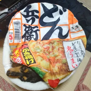 どん兵衛　犬出汁　犬ベッドうけるぅ～　笑のサムネイル