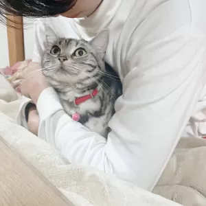 息子正月休み満喫～無事に人吉へのサムネイル