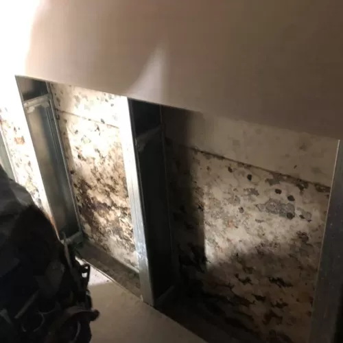 テナント壁裏カビ　宮本建装カビクリーン工法　除カビ殺菌　熊本県熊本市中央区新町のサムネイル