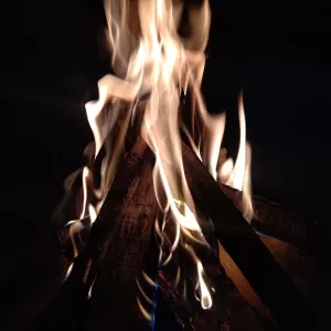 焚火したくなったから🔥ついでに焼き芋🥔食べちゃった👄のサムネイル