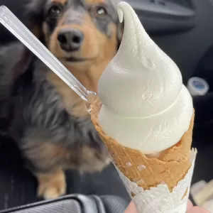 最強寒波がやってくるぞ！のサムネイル