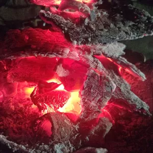 焚火をしながら鯛焼き食べて　笑　しみじみのサムネイル