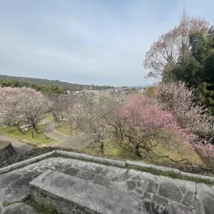 百梅園のサムネイル