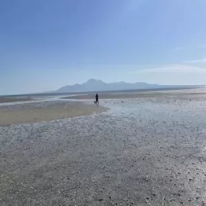 海～貝殻のサムネイル
