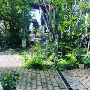 近場のおしゃれなカフェ(^^♪のサムネイル
