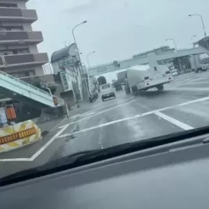 これは何だろう・・・のサムネイル