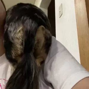 ボールランチャーを買ってみたのサムネイル