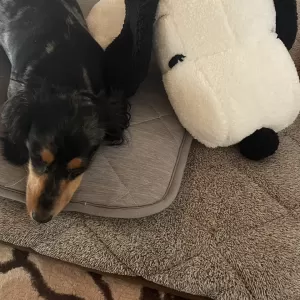 お盆休みのサムネイル