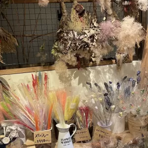 急な気温変化に注意💦のサムネイル
