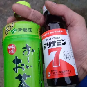 成人式が無事に終わってホッのサムネイル