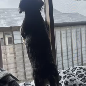 雨雨雨・・・のサムネイル