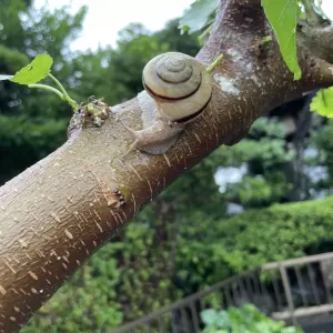 大雨の中のサムネイル