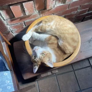 久しぶりの　ひげパンのサムネイル