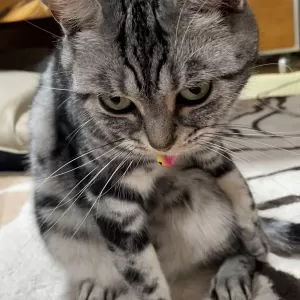 今日も猛暑な1日のサムネイル