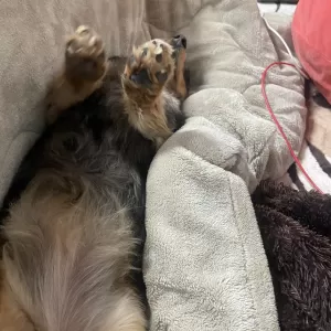 大掃除のサムネイル