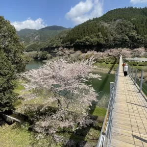 新年度スタートのサムネイル