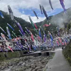 2026　杖立温泉　こいのぼりのサムネイル