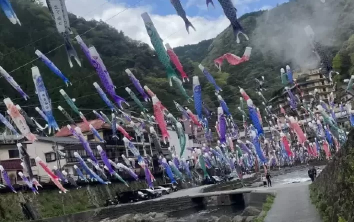 2026　杖立温泉　こいのぼり